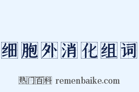 细胞外消化组词是什么意思的图片